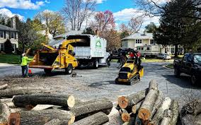 Best Hazardous Tree Removal  in Plum, PA